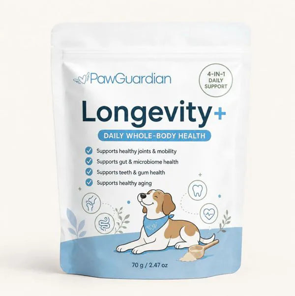 Longevity+ powder pack
