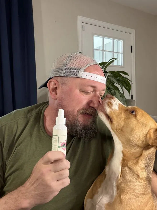 A dog kissing its owner on the nose