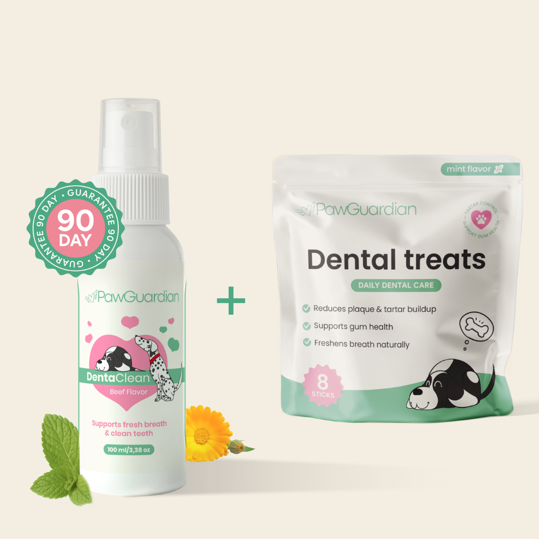 Complete Dental Care Bundle – Fresh Breath