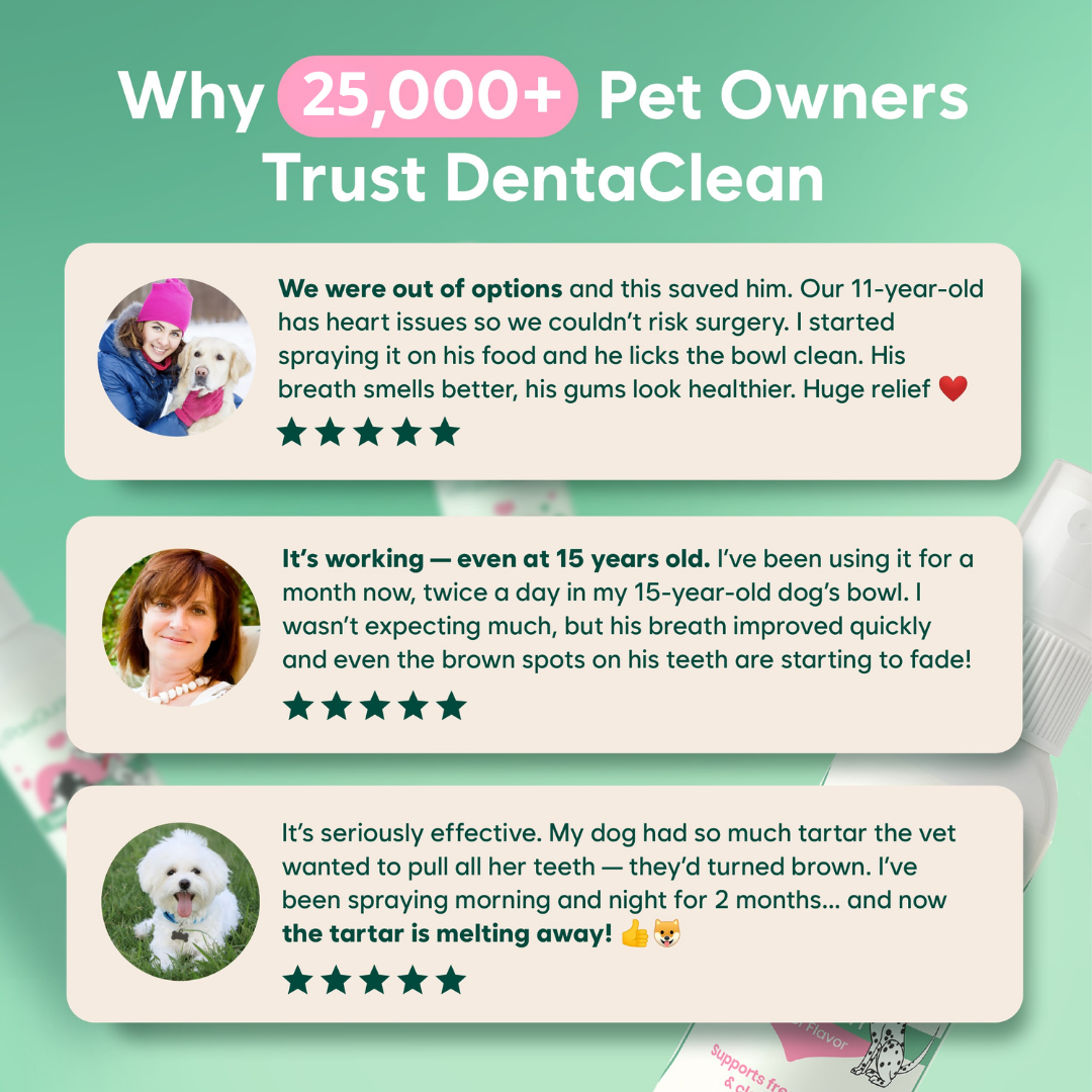 DENTACLEAN® - Dogs/Cats – Paw Guardian