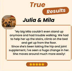 Joint Care Plus