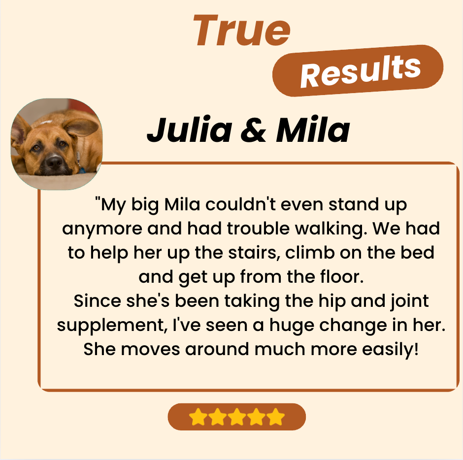 Joint Care Plus