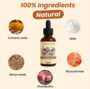 Joint Care Plus
