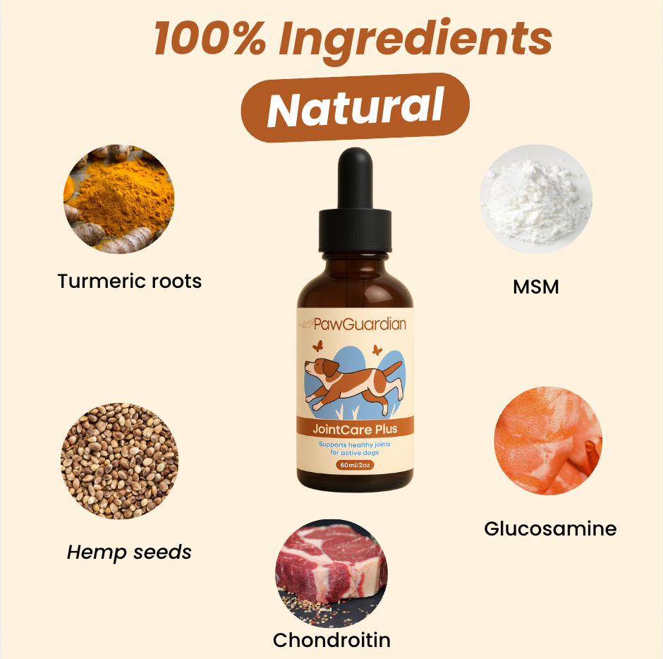 Joint Care Plus