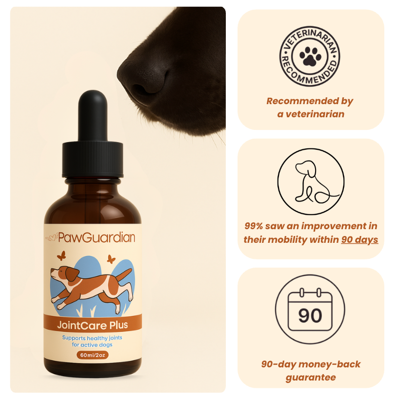 Joint Care Plus