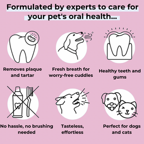 DENTACLEAN® - Cats
