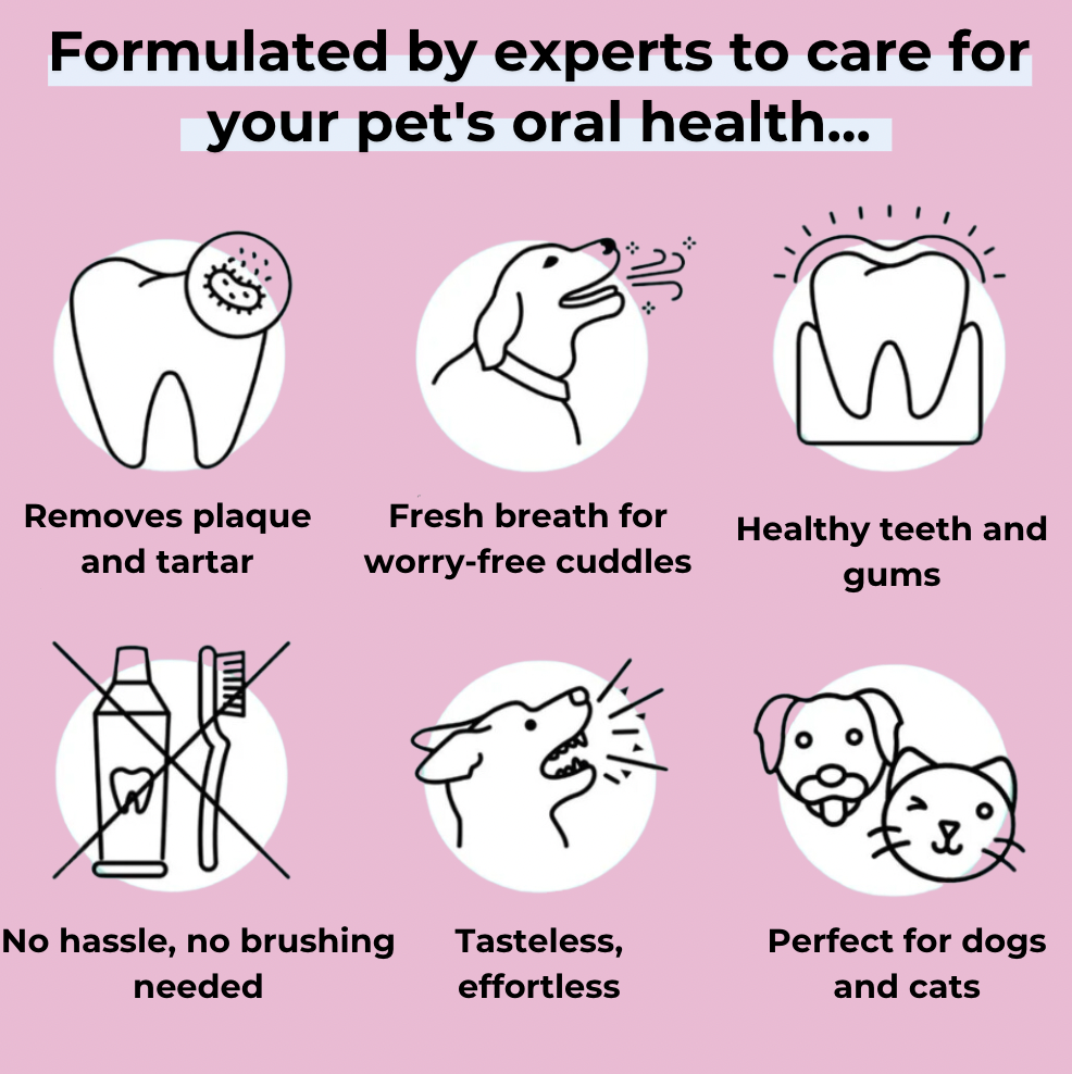 DENTACLEAN® - Cats