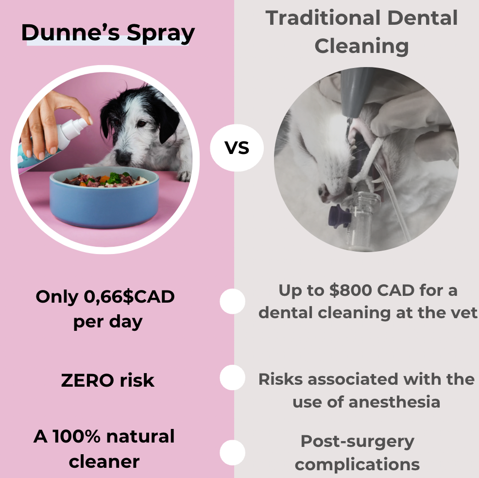 DENTACLEAN® - Cats
