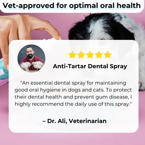 DENTACLEAN® - Cats