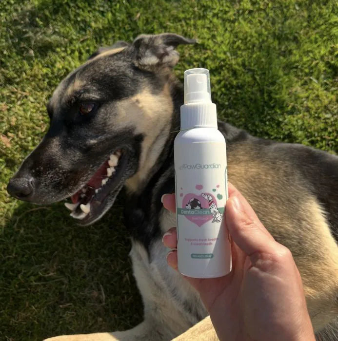 German shepherd mix next to a bottle of DentaClean
