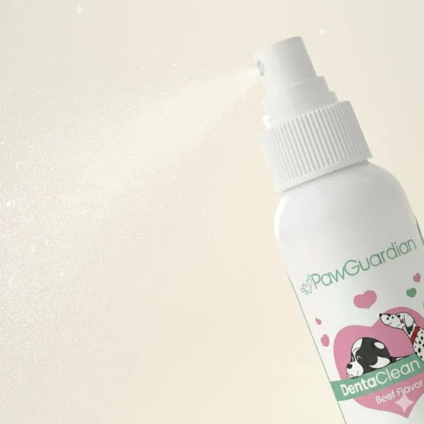 DentaClean spray